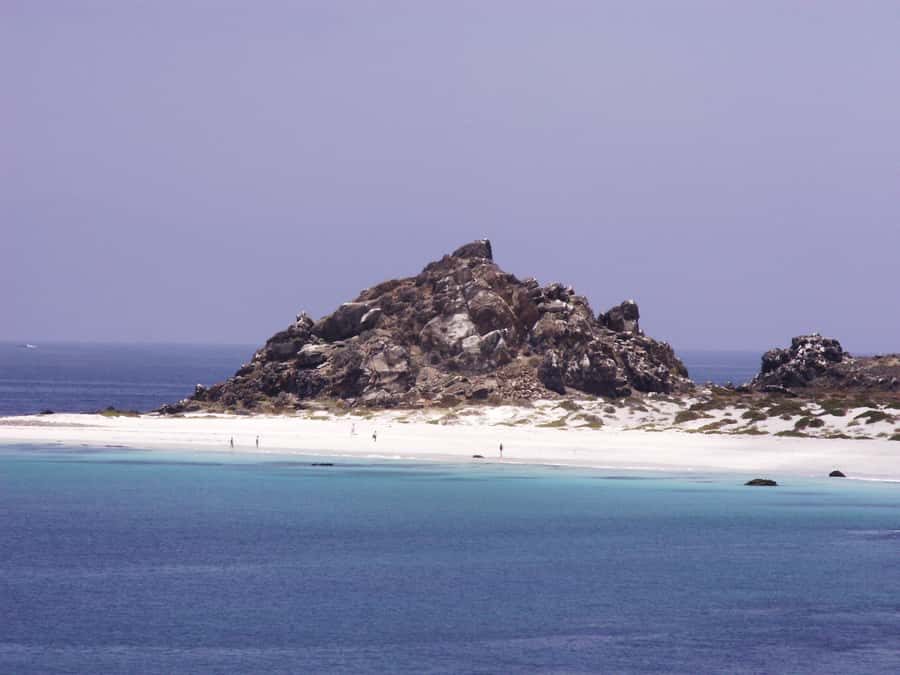 Whales & Humboldt Penguins: Chañaral or Damas island hiking - Juan Soldado and the stories of the old road