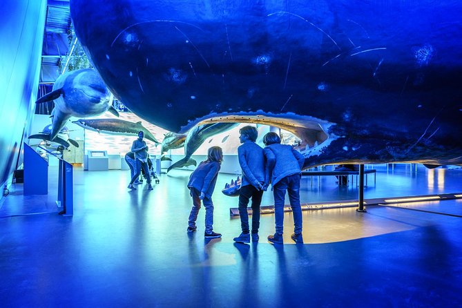 Whales Of Iceland Admission Ticket - Entering a warehouse full of whales
