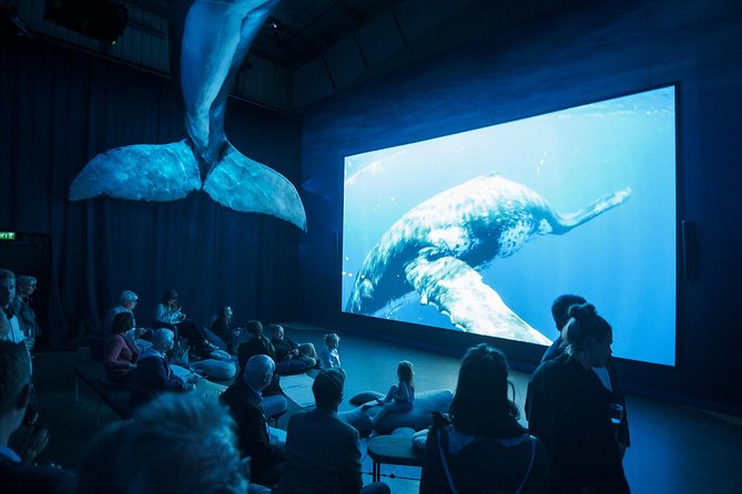 Whales of Iceland from Land and Sea - How crowded will the boat feel?