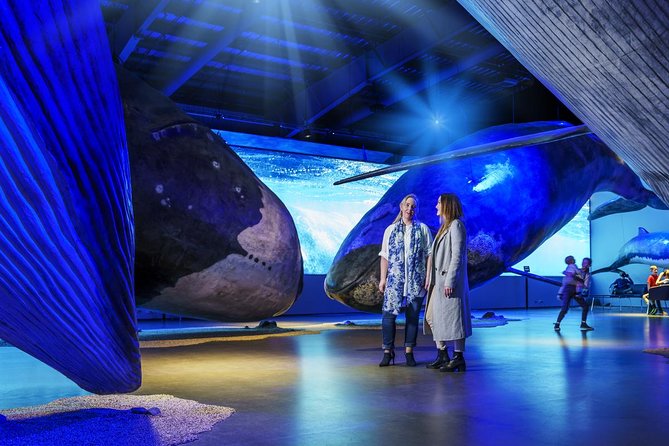 Whales of Iceland from Land and Sea - Who should book this experience?