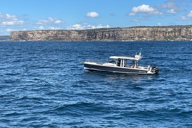 Whales of Sydney Sea Safari - What the private format means for families