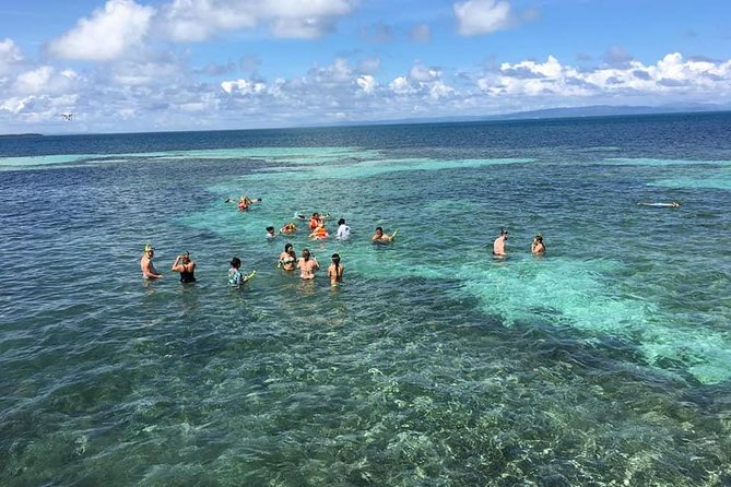 Whales Watching Half Day Experience - Why this Samaná whale trip is more than a boat ride