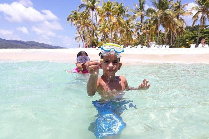 Whales Watching Half Day Experience - The natural pool and starfish viewing