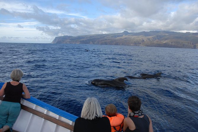 Whalewatching La Gomera - Searching the Southwest Coast for Whales and Dolphins