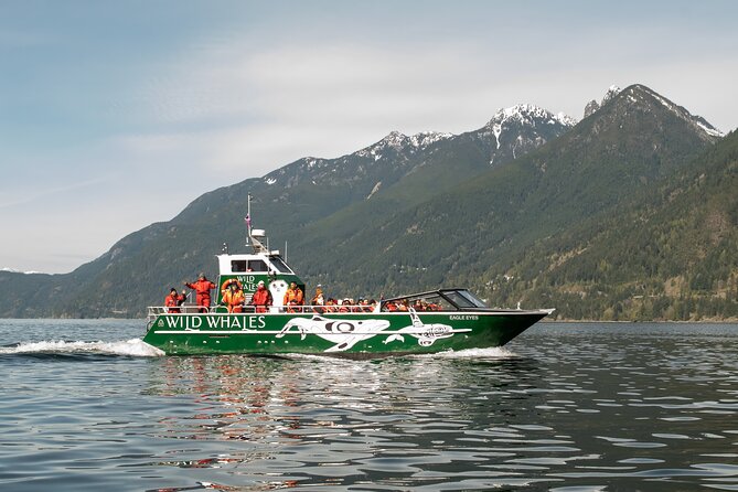 Wild Whale Watching Experience - Open Air Vessel - Key points to know before boarding