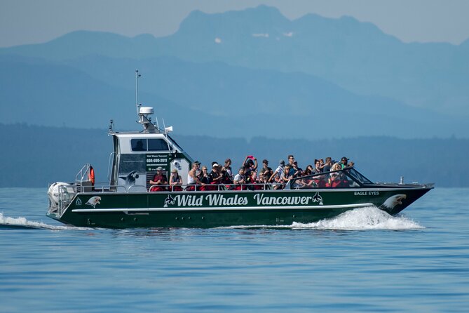 Wild Whale Watching Experience - Open Air Vessel - Starting at Granville Island with Vancouver views