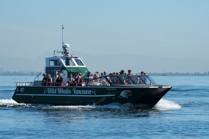 Wild Whale Watching Experience - Open Air Vessel - The marine naturalist adds meaning to the ride