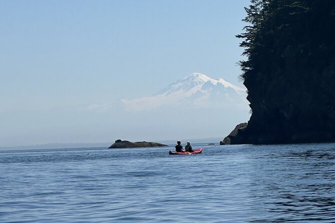 Wildlife Spotting Kayak Adventure on Orcas Island - Why this Orcas Island paddle is worth considering