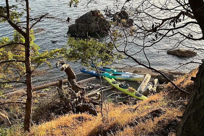 Wildlife Spotting Kayak Adventure on Orcas Island - Paddling toward a private-access park