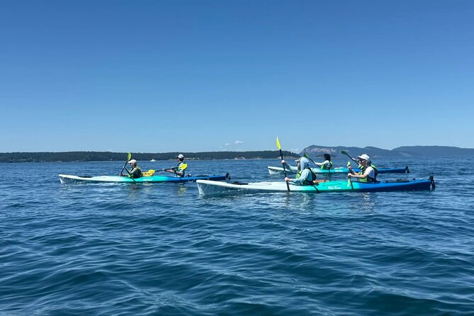 Wildlife Spotting Kayak Adventure on Orcas Island - Wildlife along the north shore