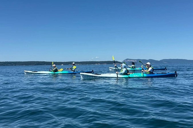 Wildlife Spotting Kayak Adventure on Orcas Island - Is $109 a fair price?