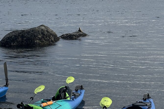 Wildlife Spotting Kayak Adventure on Orcas Island - Guides who shape the experience