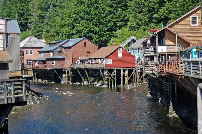Wildlife Viewing, Sightseeing and Whale Watching Quest - Key points to know before booking