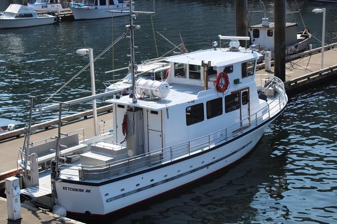 Wildlife Viewing, Sightseeing and Whale Watching Quest - Walden Rocks and harbor seals