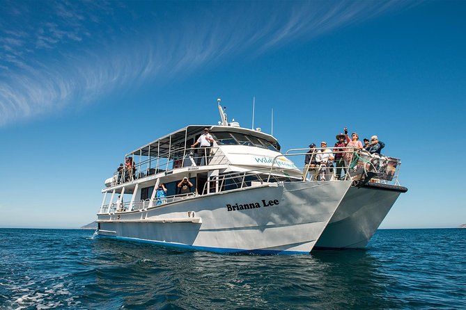 Wilsons Prom Whale Cruise - Why this Wilsons Prom cruise is worth considering