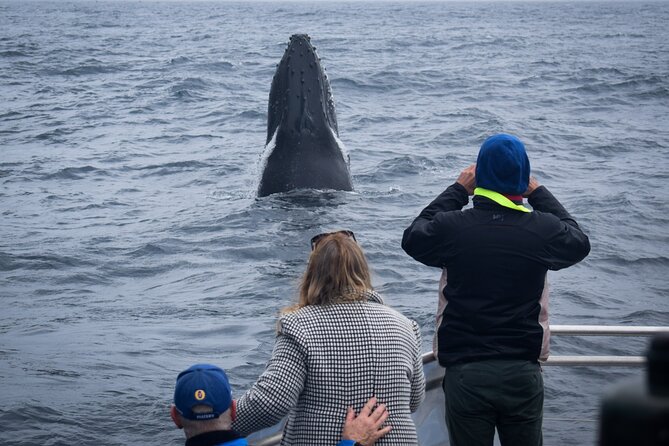 Wilsons Prom Whale Cruise - Is $182.90 good value?