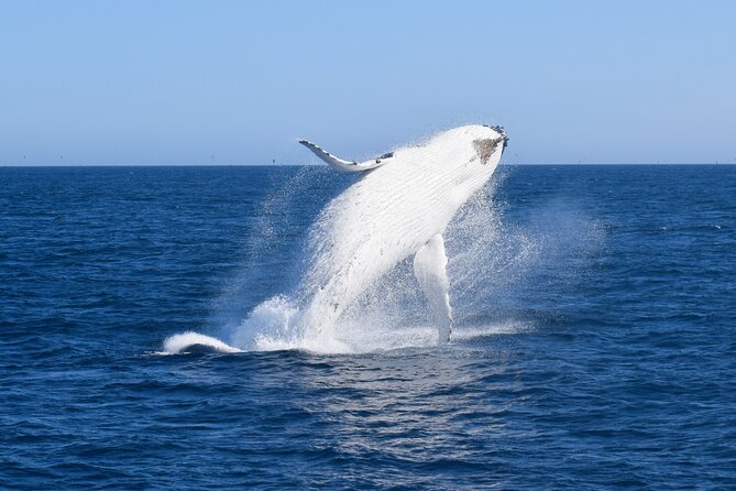 Wilsons Prom Whale Cruise - Leaving Port Welshpool at 10:30 am