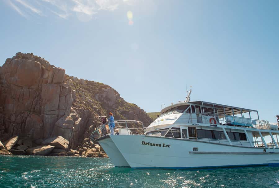 Wilsons Promontory: Whale Spotting Cruise with Lunch - Dolphins, seals, and seabirds add variety