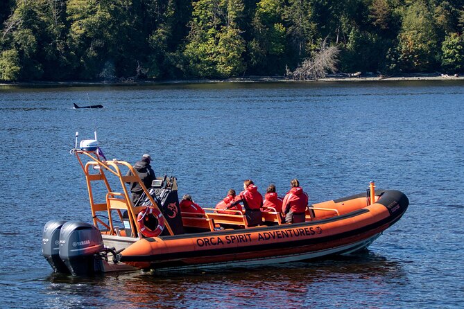 Winter Victoria Whale and Wildlife Zodiac Tour - Listening for whales with a hydrophone