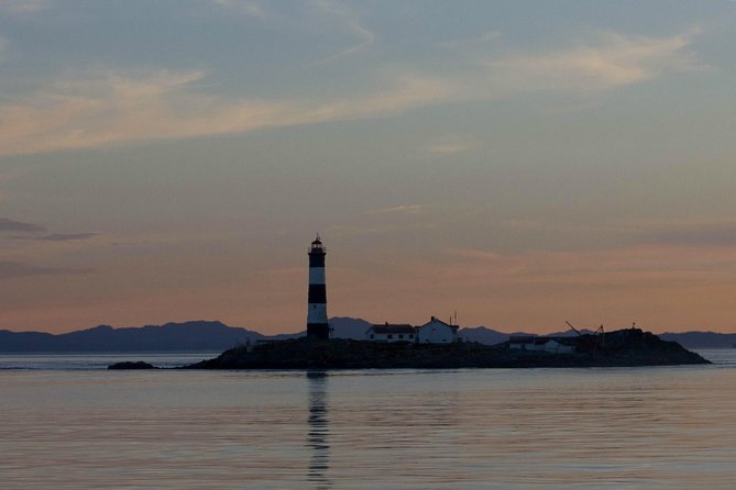 Winter Victoria Whale and Wildlife Zodiac Tour - Wildlife you might see on the route