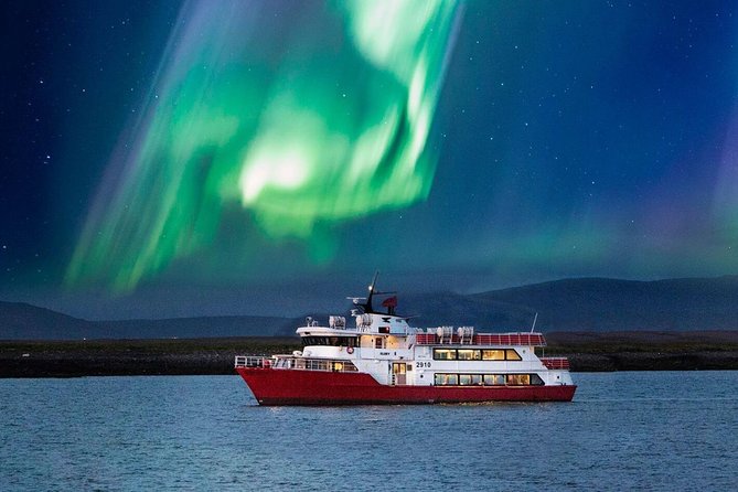 Winter Whale Watching and Northern Lights Cruise from Reykjavik - Two Icelandic sightings trips for $198