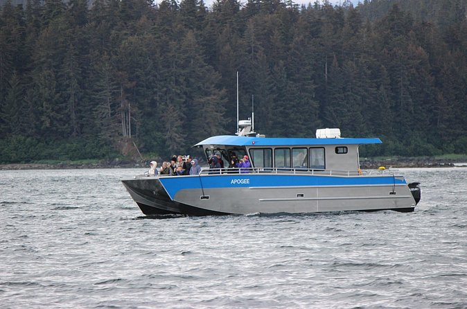 Wonderful Whales and Wildlife Tour - Why the group size changes the experience