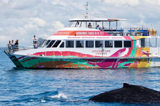 World class Whale Watching from Hervey Bay - Crew service and commentary