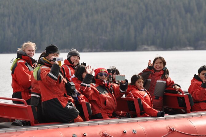 Zodiac Boat Whale and Wildlife 4-Hour Tour from Campbell River - The price and what you receive