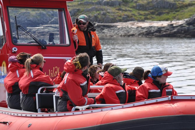 Zodiac Boat Whale and Wildlife 6-Hour Tour from Campbell River - Booking, weather, and cancellation details