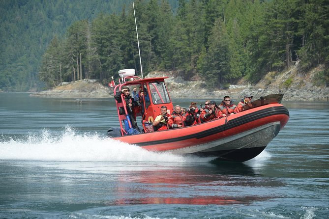 Zodiac Boat Whale and Wildlife 7-8-Hour Tour from Campbell River - Searching the coastal waters for whales and orcas
