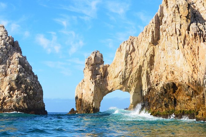 ZODIAC Whale Watch Tour | Cabo San Lucas | Biologist | FREE Pics - What $109 gets you